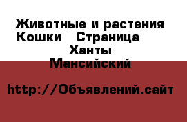 Животные и растения Кошки - Страница 10 . Ханты-Мансийский